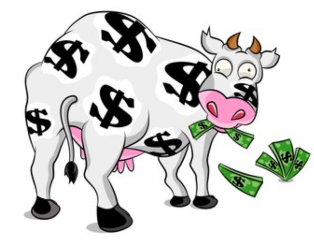 money cow
