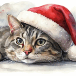 Profile photo of Ryan